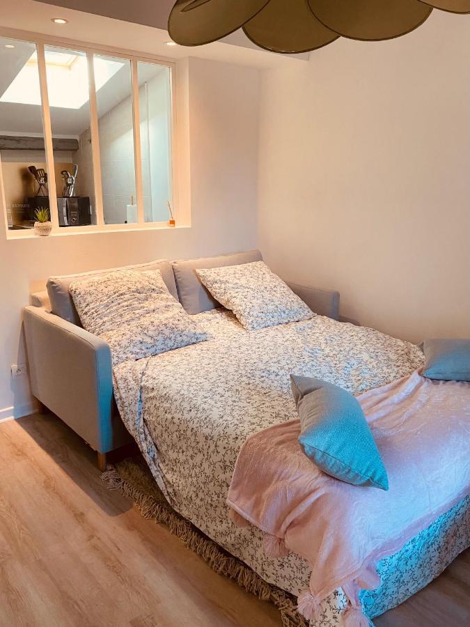Le Studio Hyper-Centre Carcassonne Ngoại thất bức ảnh
